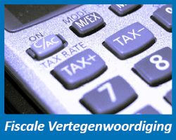 Fiscale Vertegenwoordiging LSPcustoms